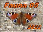 Fauna 05 2022